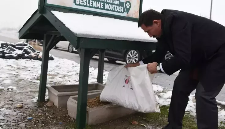 Elleriyle beslediği köpekler 2 yaşındaki çocuğu parçaladı