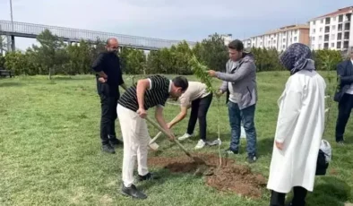 Afyonkarahisar’da Üniversite Öğrencilerinden Cami Çevresine Temizlik ve Fidan Dikim Etkinliği