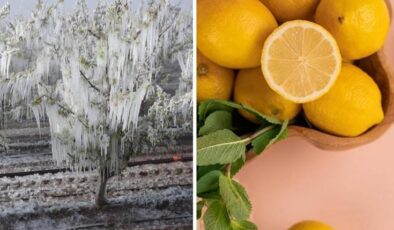 Don felaketi limonu vurdu! Yeni fiyatı gören inanamıyor